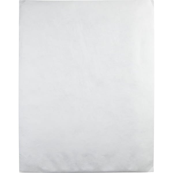 Tyvek Jumbo Mailer, Side Seam, 18x23, PK25