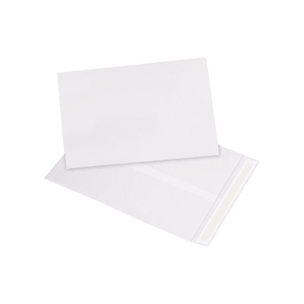 18 x 23'' White Flat Tyvek Envelopes, 100PK