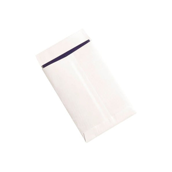 Ship-Lite® Flat Envelopes, 6"W x 9"L, White, 100/Pack