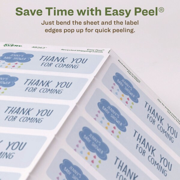 EcoFriendly Mailing Labels, Inkjet/Laser Printers, 2 x 4, White, PK250