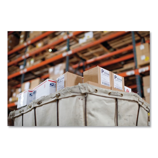 LW Extra-Large Shipping Labels, 4" x 6", White, 220/Roll, PK10