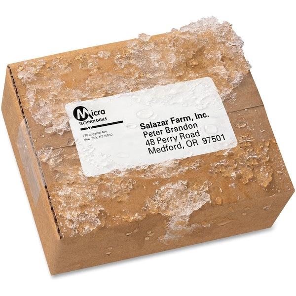 Waterproof Shipping Label w/TrueBlock/Sure Feed, Laser, 2x4, Wt, PK500
