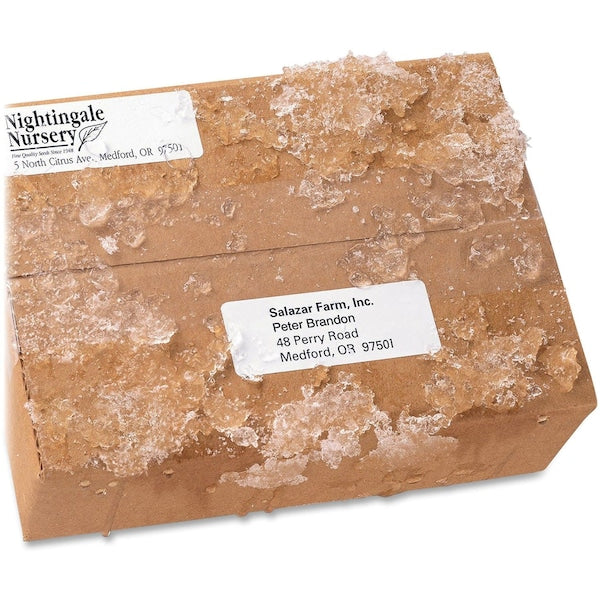 Avery® WeatherProof™ Mailing Labels with TrueBlock® Technology for Laser Printers 5524, 3-1/3" x 4", Box of 300