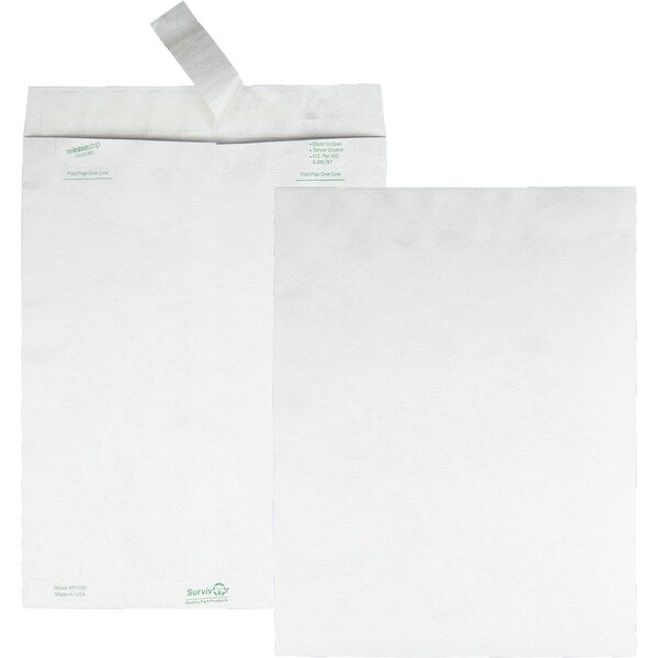 Envelope, Catalog, Pln, 10X13 Pk