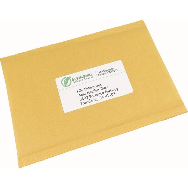 Label, Eco, 2X4 250PK