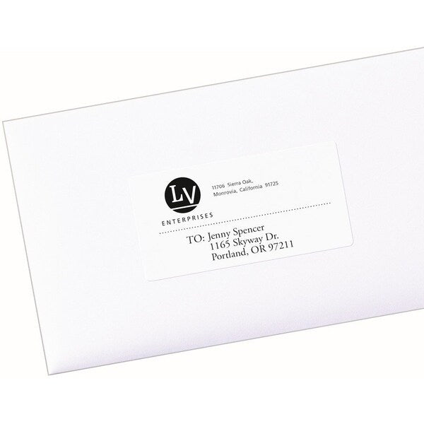 Label, Eco, 2X4 250PK