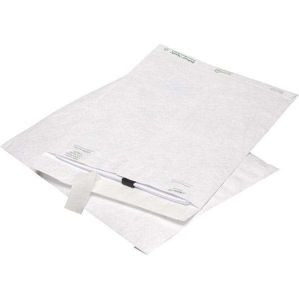 Envelope, Catalog, 9.5X12.5 Pk