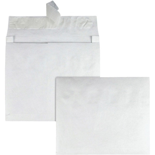 Envelope, Expansion, 10X13X2 Pk