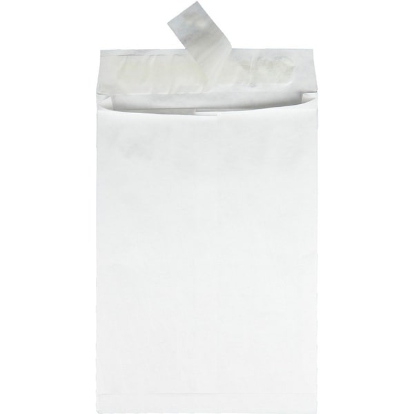 Envelope, Expansn, 10X13X1.5 Pk