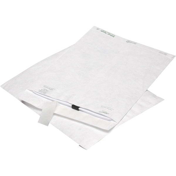 Envelope, Catalog, Pln, 10X15 Pk