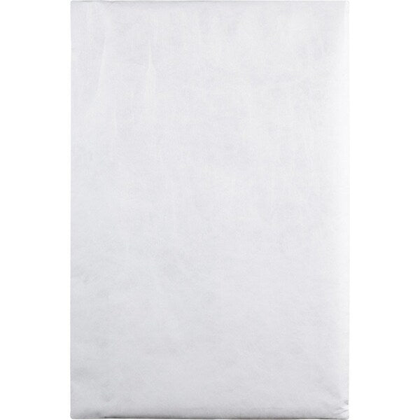 Envelope, Catalog, Pln, 10X15 Pk