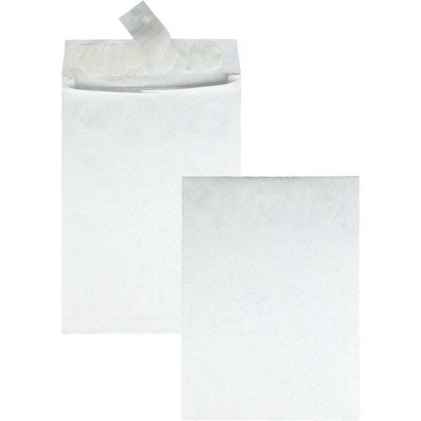 Envelope, Expansn, 10X13X1.5 Pk