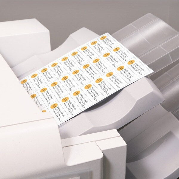 Label, Cpr, 2-13/16X1We8250 8250PK