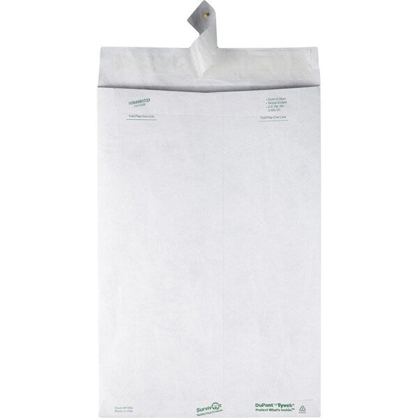 Envelope, Catalog, Pln, 10X15 Pk
