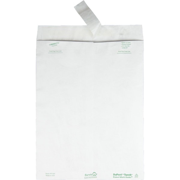 Envelope, Catalog, Pln, 10X13 Pk