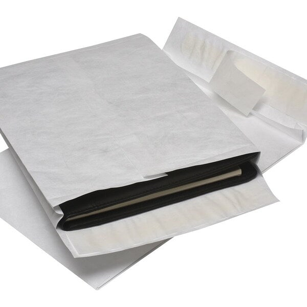 Envelope, Expansn, 10X13X1.5 Pk