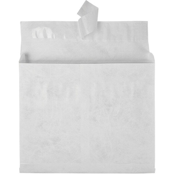Envelope, Expansion, 10X13X2 Pk