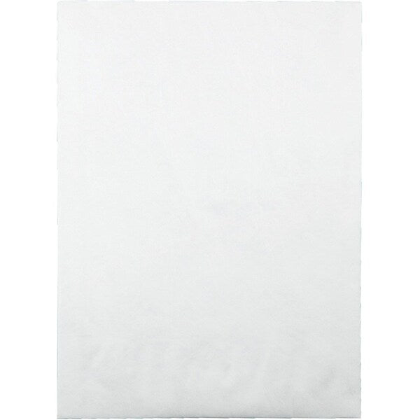 Envelope, Expansn, 10X13X1.5 Pk