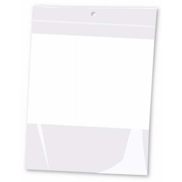 6 x 8 in. 2 Mil Zip Lock Type Plastic Bag with Hang Hole