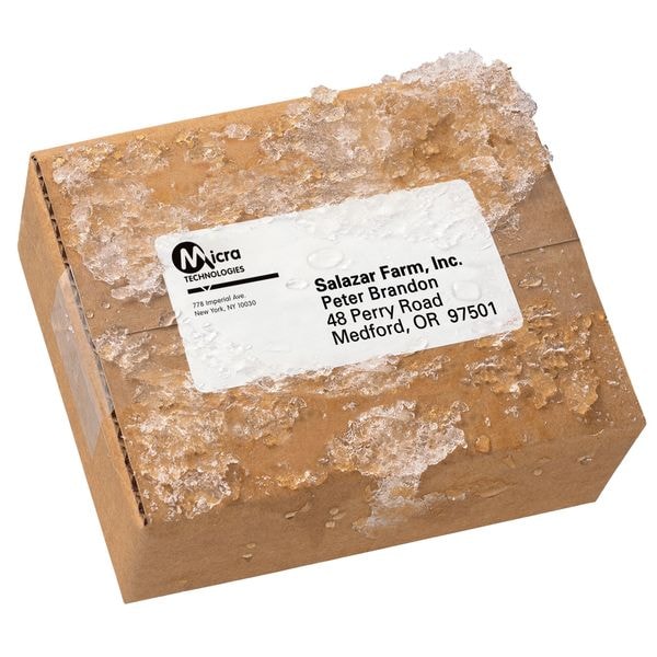 Avery® WeatherProof™ Mailing Labels with TrueBlock® Technology for Laser Printers 5523, 2" x 4", Box of 500