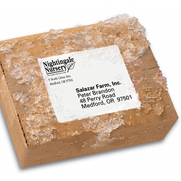 Avery® WeatherProof™ Mailing Labels with TrueBlock® Technology for Laser Printers 5524, 3-1/3" x 4", Box of 300