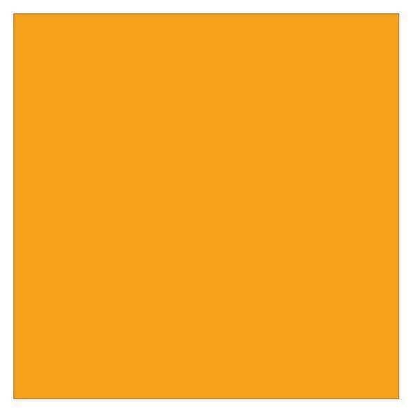 Tape Logic® Inventory Rectangle Labels, 4" x 4", Fluorescent Orange, 500/Roll