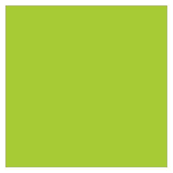 Tape Logic® Inventory Rectangle Labels, 4" x 4", Fluorescent Green, 500/Roll
