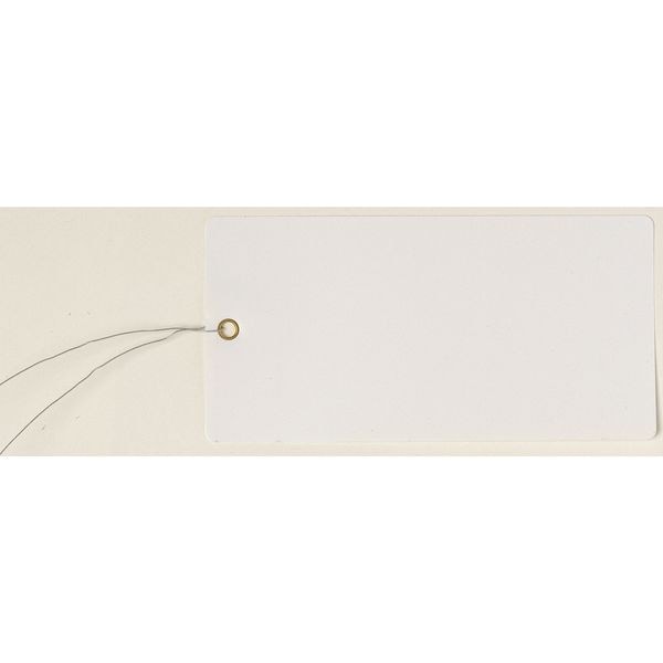 Blank Tag, 5-1/4 x 2-5/8 In, Wht, PK25