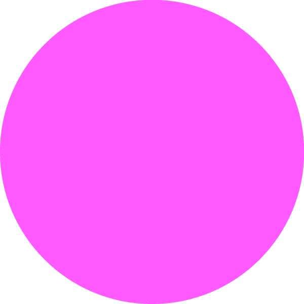 Blank Inventory Control Label Pink, Pk1000