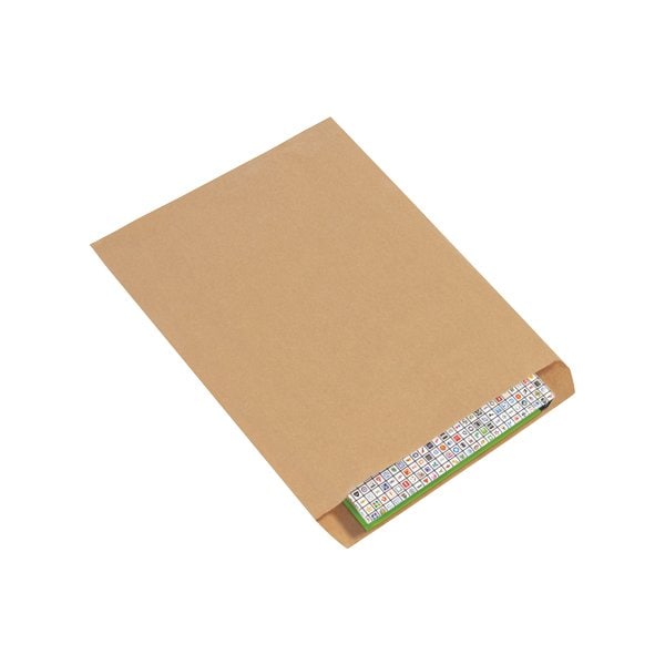 12 x 15'' Kraft Flat Merchandise Bags, 1000PK