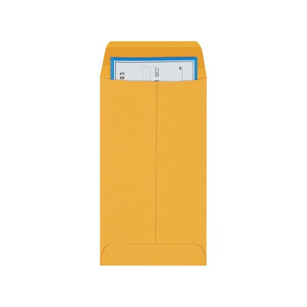 3-3/8 x 6'' Kraft Gummed Envelopes, 5000PK