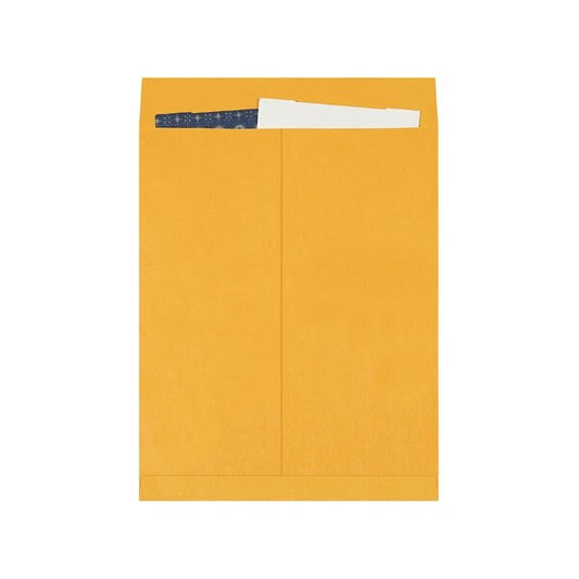 16 x 20'' Kraft Jumbo Envelopes, 100PK