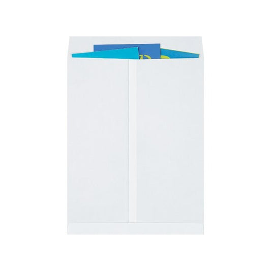 17 x 22'' White Jumbo Envelopes, 250PK