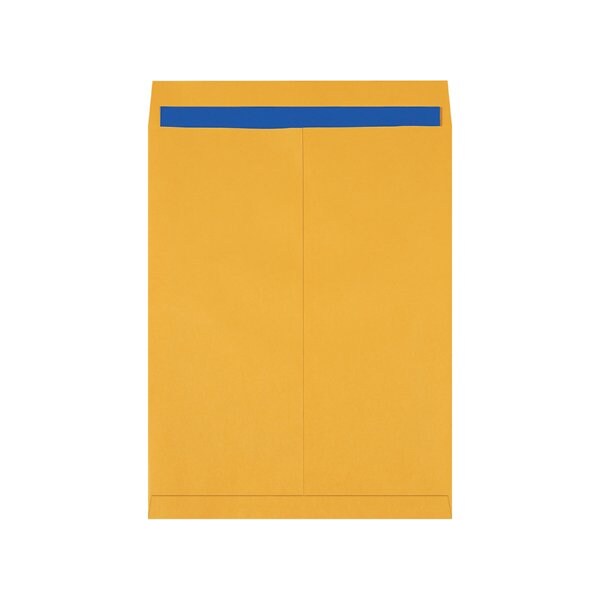17 x 22'' Kraft Jumbo Envelopes, 100PK