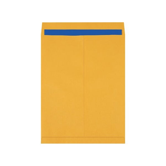 17 x 22'' Kraft Jumbo Envelopes, 100PK