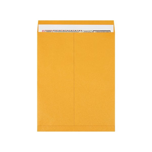 18 x 23'' Kraft Jumbo Envelopes, 100PK
