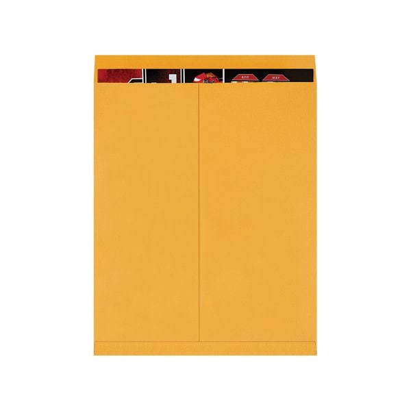22 x 27'' Kraft Jumbo Envelopes, 100PK