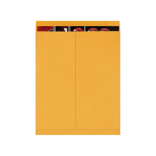 22 x 27'' Kraft Jumbo Envelopes, 100PK