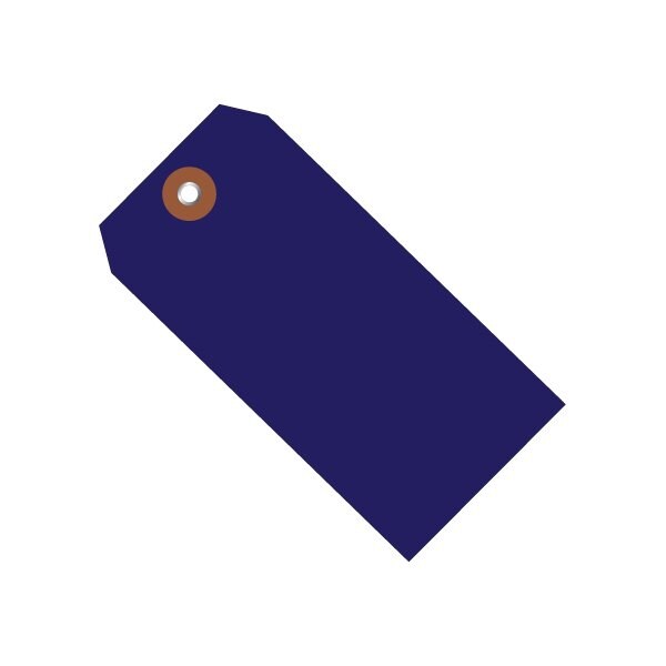 6 1/4 x 3 1/8'' Blue Plastic Shipping Tags, 100PK