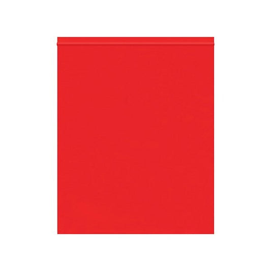 10 x 12'' - 2 Mil Red Reclosable Poly Bags, 1000PK