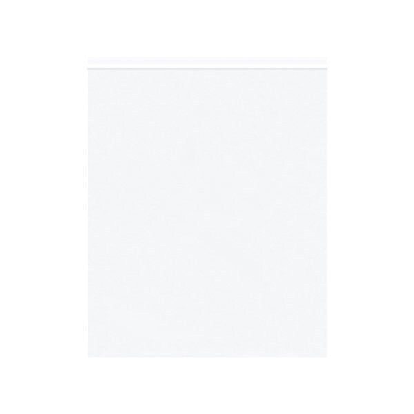 10 x 12'' - 2 Mil White Reclosable Poly Bags, 1000PK