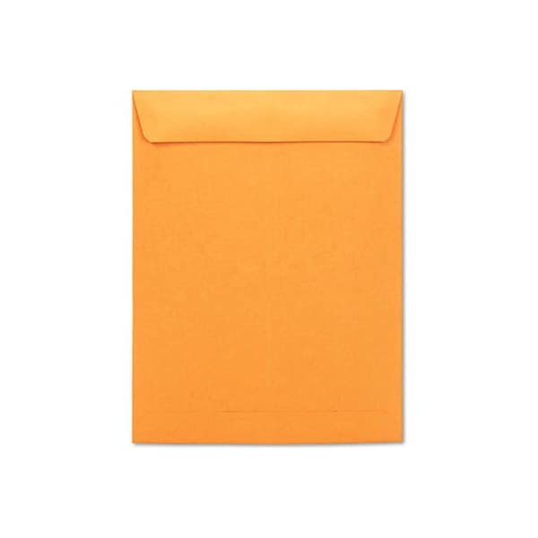 One¬Æ Gummed Catalog Envelopes, Gummed, 10"W x 13"H, Kraft, 250/Pack