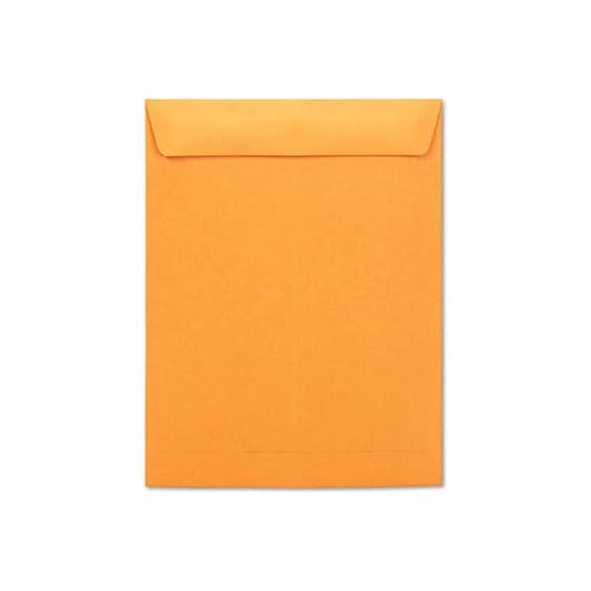 One¬Æ Gummed Catalog Envelopes, Gummed, 10"W x 13"H, Kraft, 250/Pack