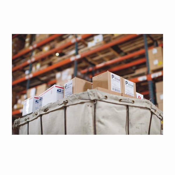 LabelWriter White Shipping Labels, 4x6", 220 Labels
