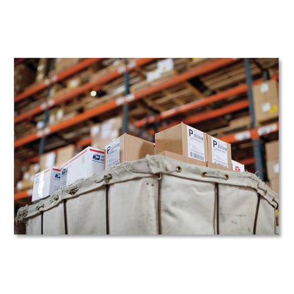 LW Extra-Large Shipping Labels, 4" x 6", White, 220/Roll, PK10