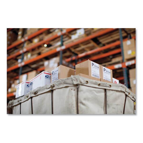 LW Extra-Large Shipping Labels, 4" x 6", White, 220/Roll, PK5