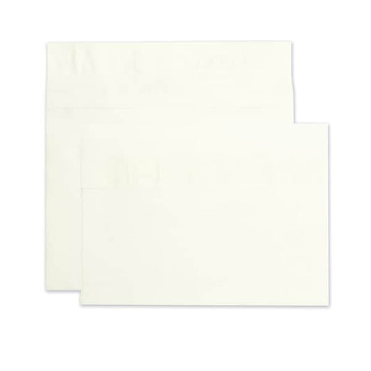 Expansion Mailer, 10x15x2, 18lb., PK100