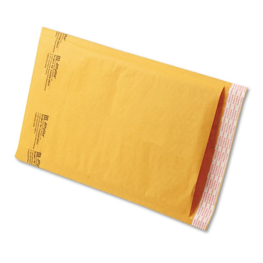 Mailer, Self-Seal, 8-1/2 x 14-1/2 in, PK100