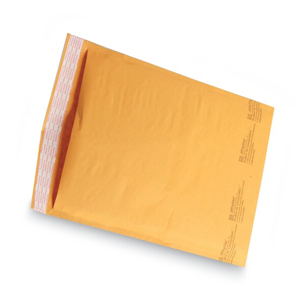 Mailer, Self-Seal, 9-1/2 x 14-1/2 in, PK100