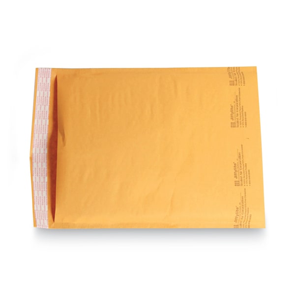 Mailer, Self-Seal, 9-1/2 x 14-1/2 in, PK100